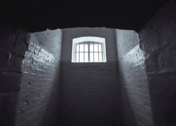 زنزانة الوجع 2017